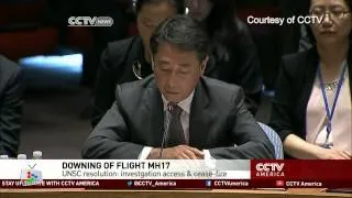 MH17: UNSC passes resolution on plane crash