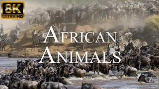 African Animals In 8K ULTRA HD - Amazing Wildlife of African Savanna