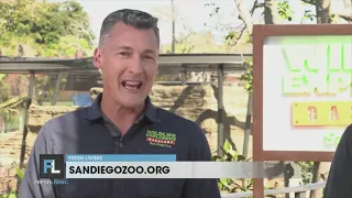 Inside look at San Diego Zoo's wildlife habitats