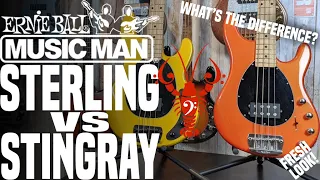 Music Man Sterling vs. Stingray - Checking out the Ray's smaller sibling - LowEndLobster Fresh Look
