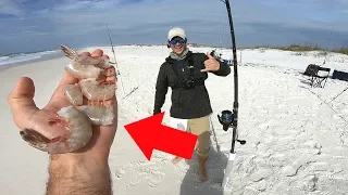 Using Cut Bait For Surf Fishing Success