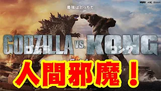 映画『ゴジラVSコング』モンスターバース第4弾【DBD No.745　映画レビュー】