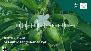 EPS.02 - Si Cantik Yang Berbahaya