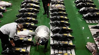 Thunfisch-Auktion auf Fischmarkt in Tokio