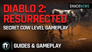 Diablo 2: Resurrected - Secret Cow Level Gameplay