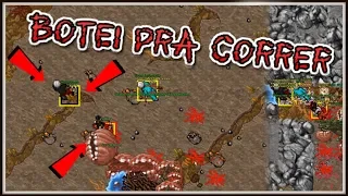 PEGANDO PK NA DOMINANTE E DOMINANDO TUDO!!!  TIBIA