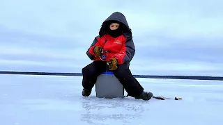 Рыбалка на Чудском озере очень много рыбы