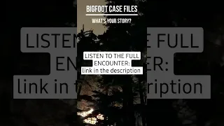 #shorts POLICE INVESTIGATE BIGFOOT ENCOUNTER #shortsfeed #bigfoot #shortsvideo #shortsyoutube #short