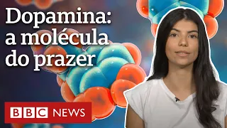 O papel da dopamina, que traz (e tira) sensação de felicidade