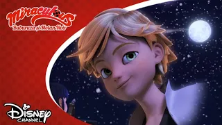 🎄 Atmosfera de Crăciun | Miraculos: Buburuza și Motan Noir | Disney Channel România