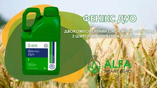 Фенікс Дуо фунгіцид на пшеницю (виробник ALFA Smart Agro)