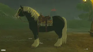 The Legend of Zelda : Tears of the Kingdom - 100% No Damage 12/