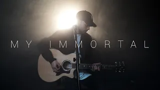 Evanescence - My Immortal (Acoustic Cover by Dave Winkler)