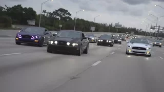 MUSTANGS TAKE OVER HIGHWAY!