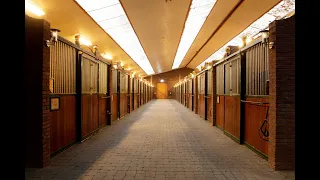 SOLD: Luxury equestrian real estate - luxus reitanlagen- luxe paardenaccomodaties Netherlands