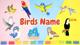 Birds Names - Learn Birds Name - Birds Name with Pictures - Birds Name for Kids - Moko Loko Tv