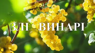 "Злі винарі" 15.01.2023 Володимир Матящук (Рівне) Притча про злих винарів. Притча про виноградник