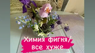 Химия фигня / все хуже #онкология #рак  #онкожизнь #ракмолочнойжелезы #биопсия #колоноскопия