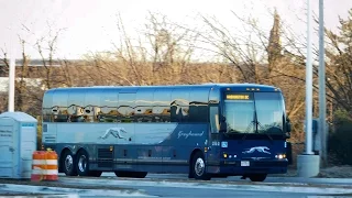 Greyhound Bus Lines: Bus Observations (January 29, 2017) @ Baltimore Terminal