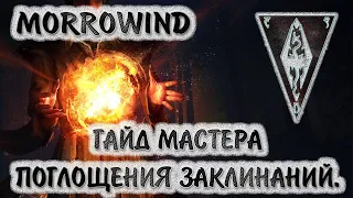 Morrowind 143 Гайд мастера поглощения заклинаний Бесценный артефакт у вас в игноре