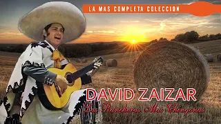 David Zaizar Las Rancheras Mas Chingonas - Rancheras Y Corridos Mexicanos Viejitos