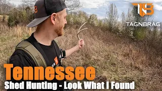 Shed Hunting - Ending a 15 Year Drought