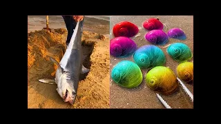 Asian Talented Fisherman Catching Seafood's P02 ||Tik Tok China || Deep Sea Creatures