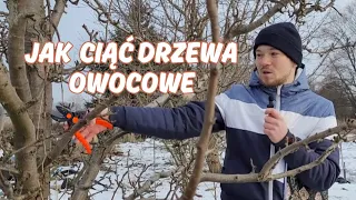 Wprowadzenie do cięcia drzew owocowych. Jak ciąć drzewa owocowe?