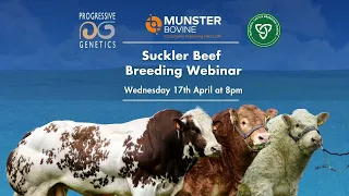 Suckler Beef Breeding Webinar - Munster Bovine, Progressive Genetics, NCBC & Teagasc #Breeding24