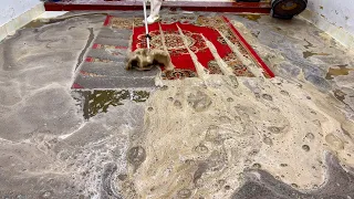 Terrible with the carpet's first bath - satisfyingly relaxing ASMR carpet cleaning