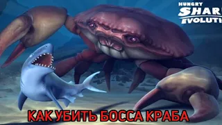 КАК УБИТЬ БОССА ГИГАНТСКОГО КРАБА В ИГРЕ Hungry Shark 🦈 (голодная акула)