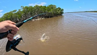 Barra And Threadfin Salmon Fishing In Dirty Water Creek After Rain