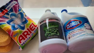 LUNDMARK PINE, CLOROX BLEACH🥵 LAUNDRY PASTE ASMR❕️