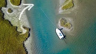 We FOUND a Saltwater POND with STUD FISH┃LA Dream Pt 2