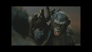 Caesar vs Koba Final Fight (Part 1) | Dawn of the Planet of the Apes (2014)#LOWI