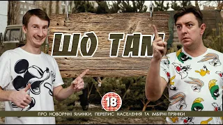 Про новорічні ялинки, перепис населення та імбірні прянікі. Бампер і Сус