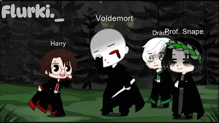 Voldemorts return in a nutshell... But then different! (Snape wasn't killed :D)