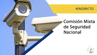 Comisión Mixta de Seguridad Nacional (29/11/2022)