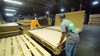 Working at Timber Products - Corinth Plywood