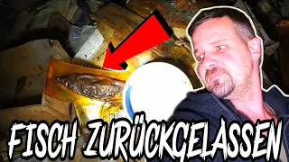 🤢 30 JAHRE ALTEN FISCH GEFUNDEN 🤢 | VEB Fischverarbeitung DDR | LOST PLACES