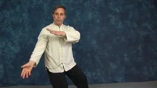 Tai Chi: Brush Knee Tips