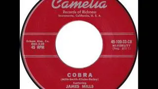Bailey's Nervous Kats featuring James Mills: "Cobra"