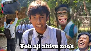 we lost our minds in the zoo 🗿/ চিৰিয়াখনা ব্লগ / Preetom