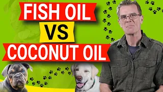 Fish Oil For Dogs vs Coconut Oil (MCT Oil) Which Is Better