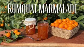 KUMQUAT MARMALADE / Make & Water Bath Can / Cumquat Jam Recipe