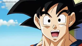 Wiss le dice a vegeta si esta embarazado (dragon ball super latino)