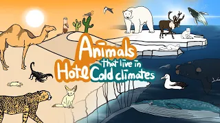 Animals that live in hot&cold climates | What kind of Animals live in different climate? | Kids Draw