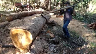 Como girar tora de madeira (eucalipto) usando uma baitaca (gancho)