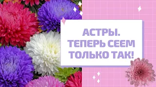 АСТРА ВЗОЙДЁТ ДАЖЕ У НОВИЧКОВ!