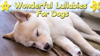 Dog Music Sleep Music For Shiba Inu Puppies ♫ Calm Relax Your Animal ♥ Soft Lullaby For Pets Dogs